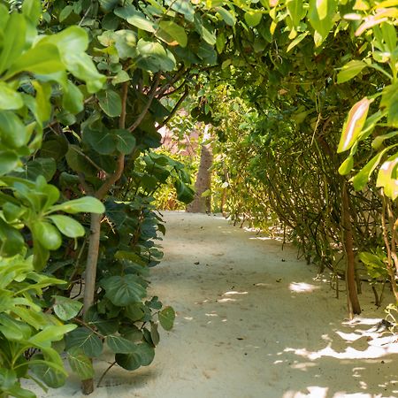 Tago Tulum By G Hotels Exteriör bild